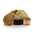 Handwerklicher Panettone mit sizilianischer Schokolade und Pistazien und einem Glas Aufstrichcreme